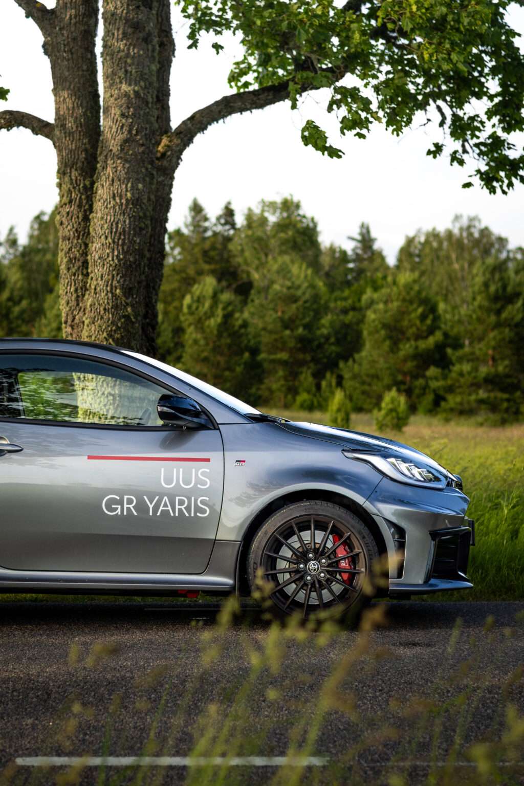 gryaris-ext-31