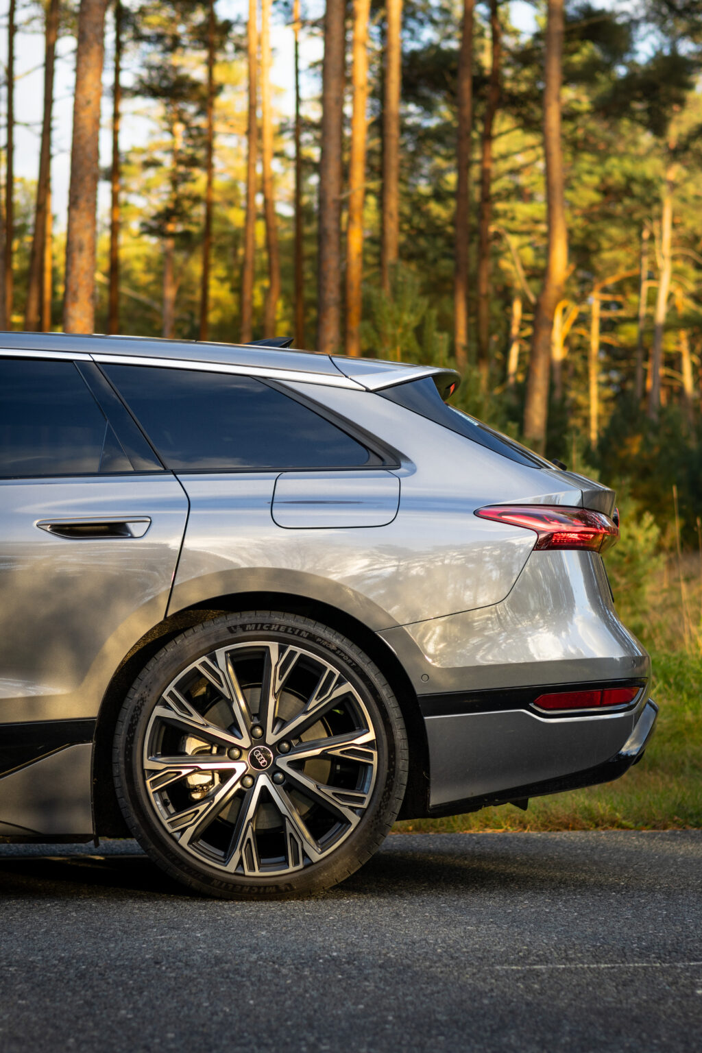 a6etron-ext-14