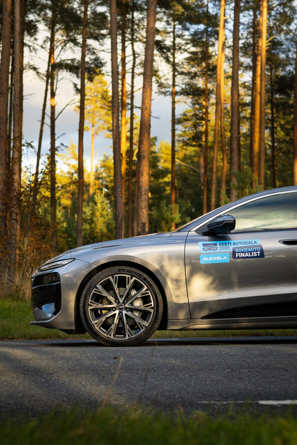 a6etron-ext-19