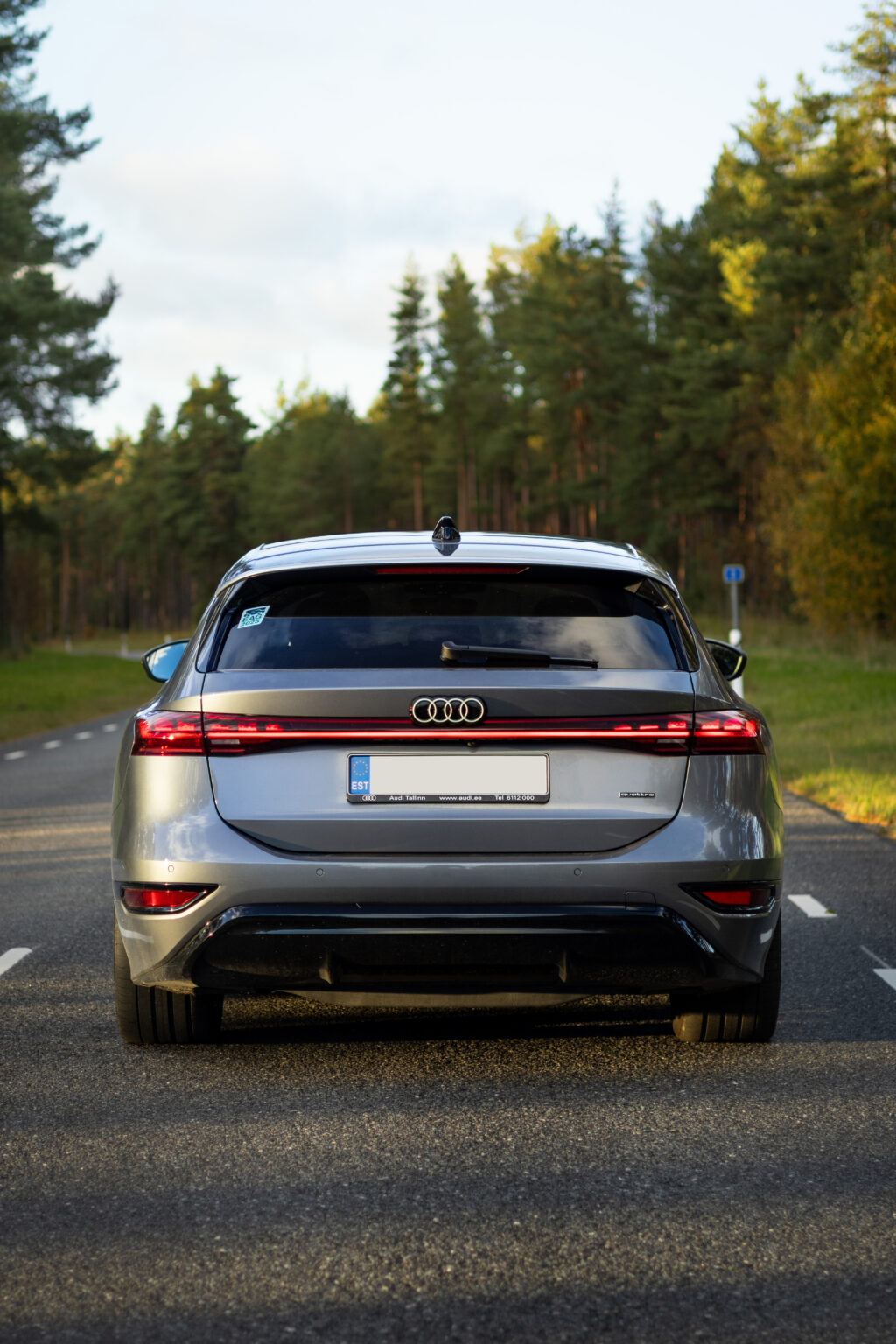 a6etron-ext-24
